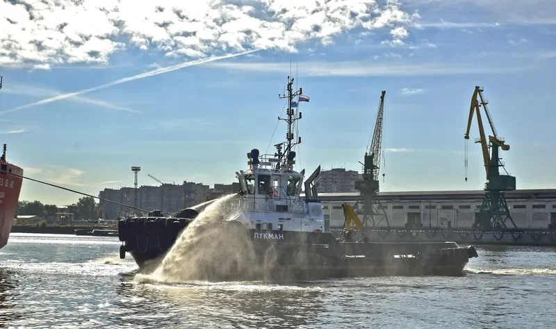 LOOKMAN General Cargo IMO 9729142 photo 4