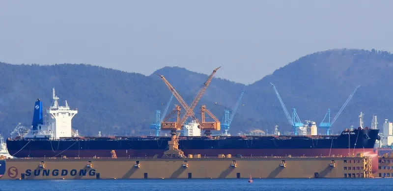 CAPE OWL Bulk Carrier IMO 9729219 photo 3