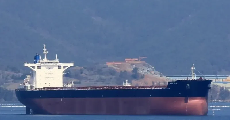 CAPE OWL Bulk Carrier IMO 9729219 photo 4