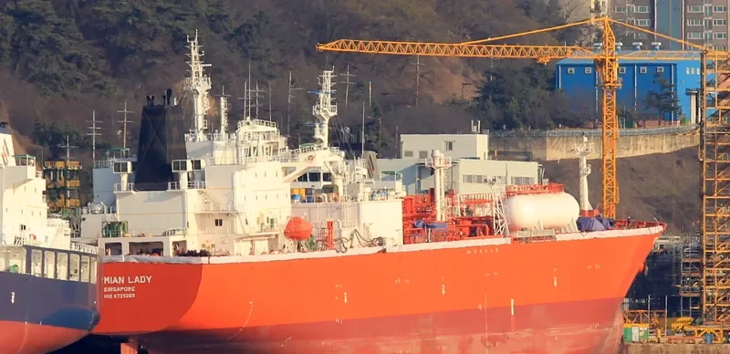 PERMIAN LADY General Cargo IMO 9729269 photo 2