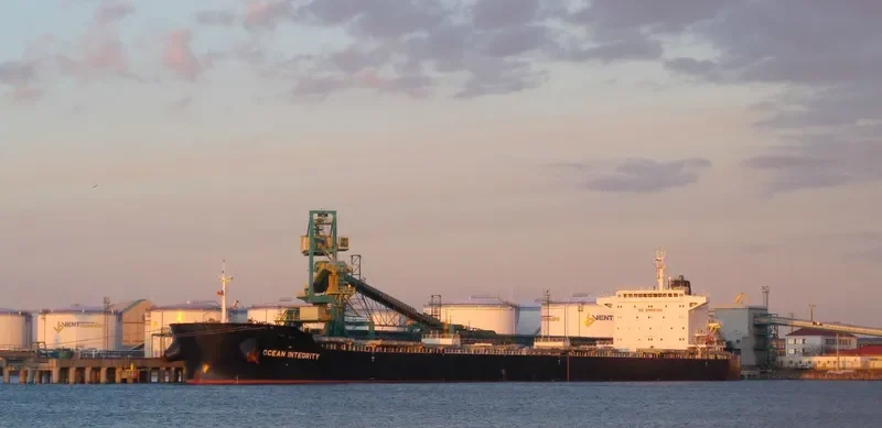 OCEAN SAGA Bulk Carrier IMO 9729312 photo 2
