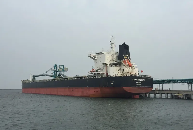 OCEAN SAGA Bulk Carrier IMO 9729312 photo 4