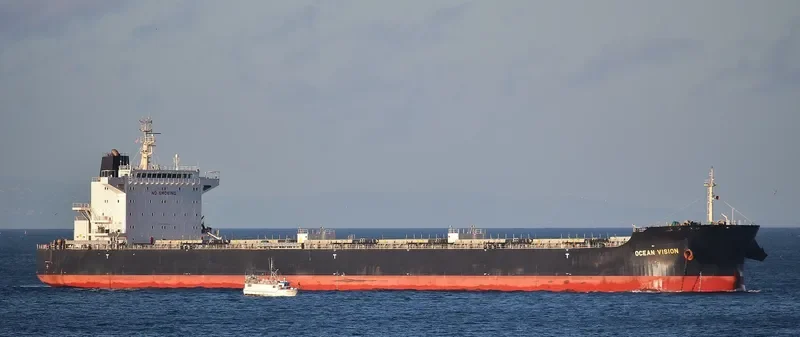 MY VISION Bulk Carrier IMO 9729324