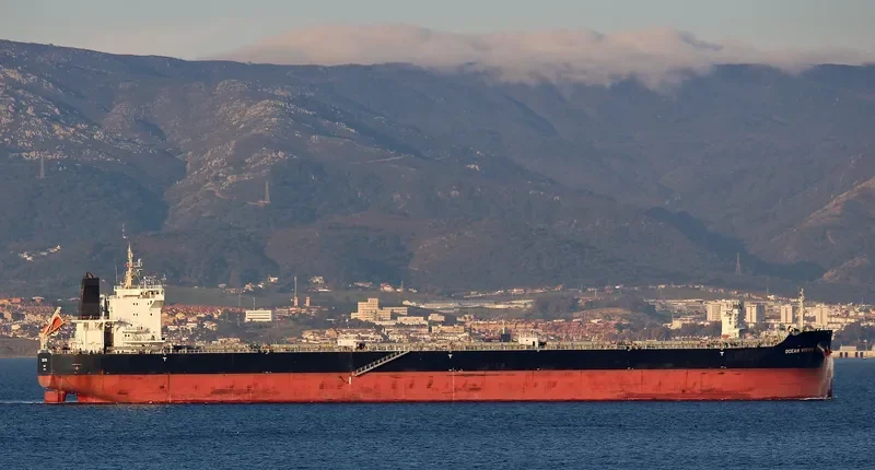 MY VISION Bulk Carrier IMO 9729324 photo 2
