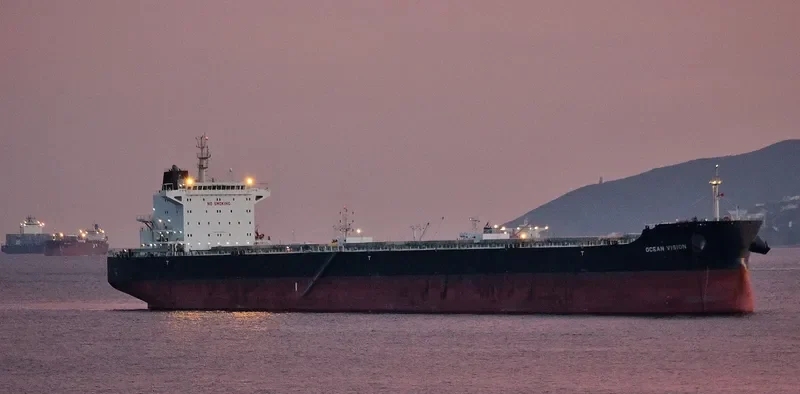 MY VISION Bulk Carrier IMO 9729324 photo 4