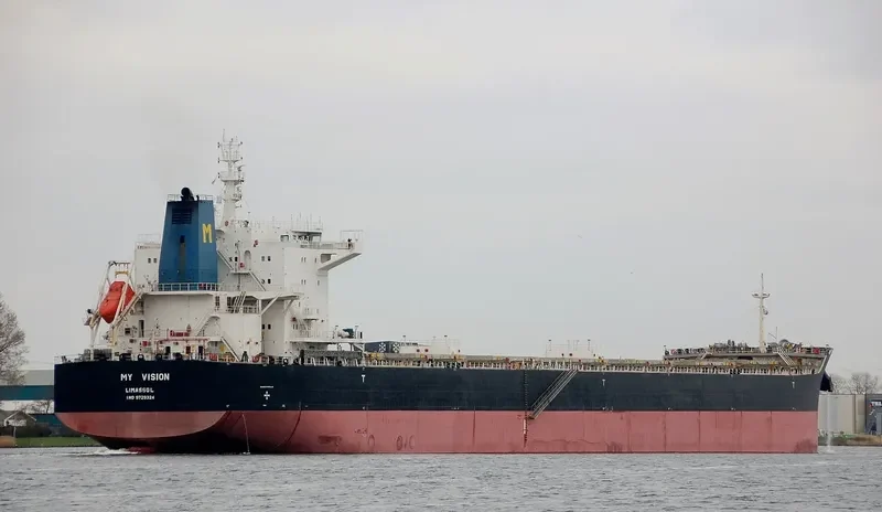 MY VISION Bulk Carrier IMO 9729324 photo 6