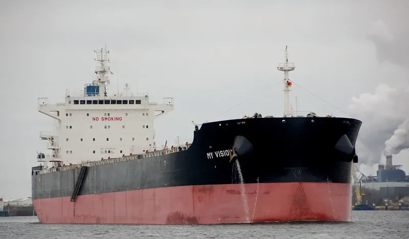 MY VISION Bulk Carrier IMO 9729324 photo 7