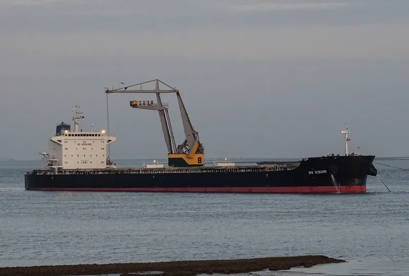 MY VISION Bulk Carrier IMO 9729324 photo 8