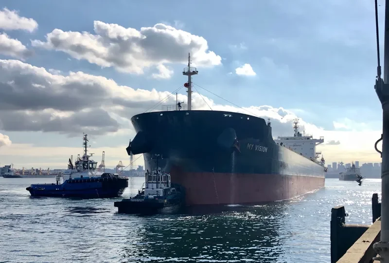 MY VISION Bulk Carrier IMO 9729324 photo 9