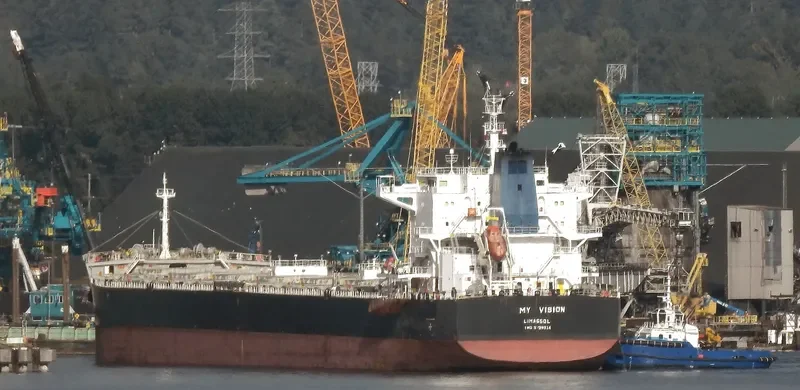 MY VISION Bulk Carrier IMO 9729324 photo 10