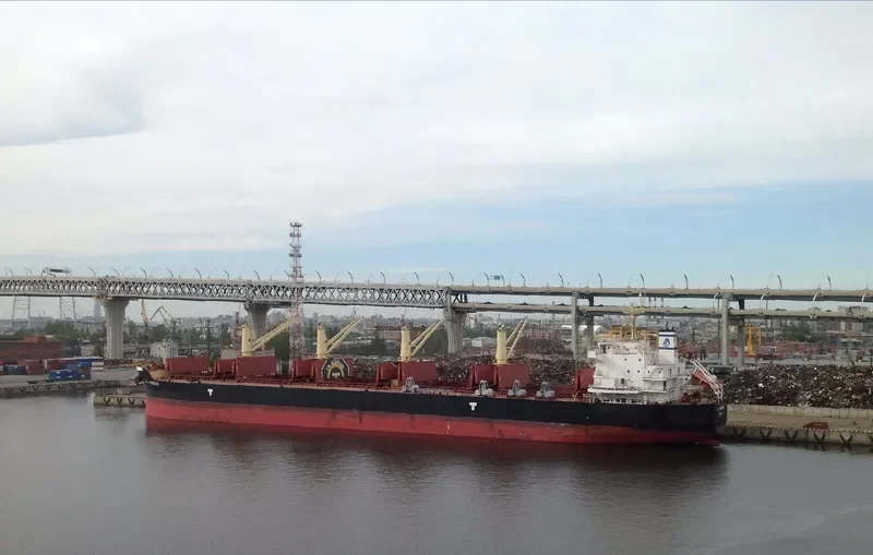 PMS AUERHAHN Bulk Carrier IMO 9729348