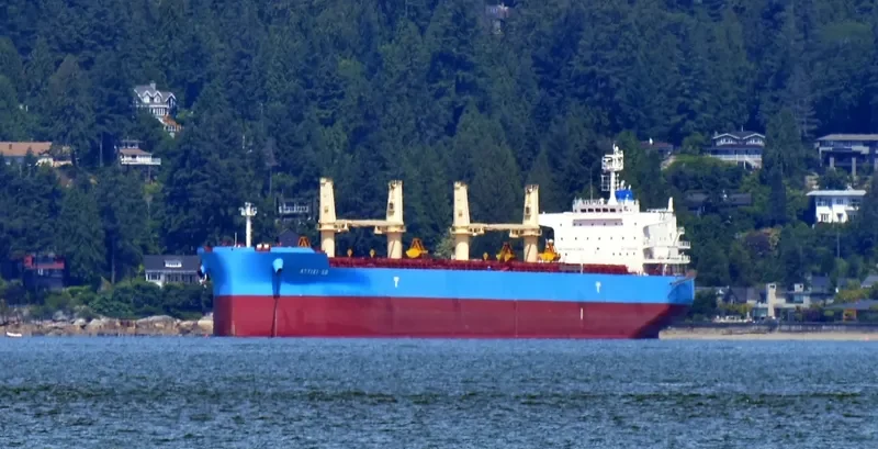 ATTIKI SB Bulk Carrier IMO 9729350 photo 3