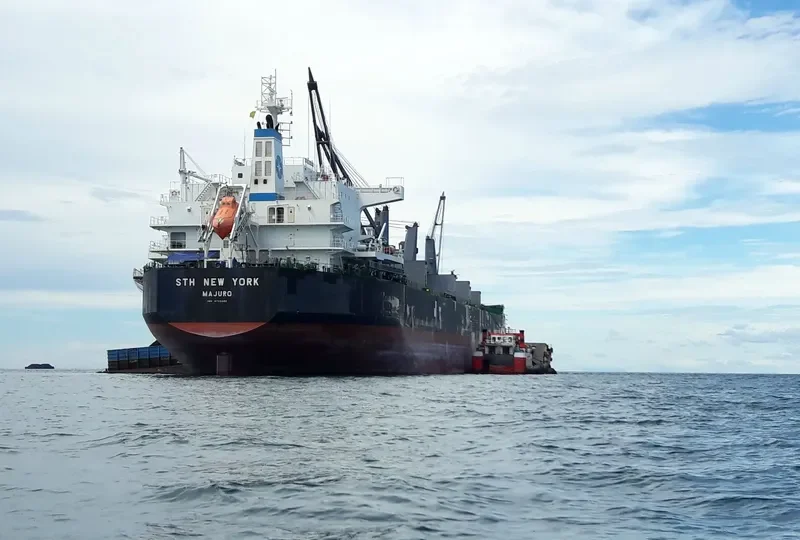 STH NEW YORK Bulk Carrier IMO 9729362 photo 2