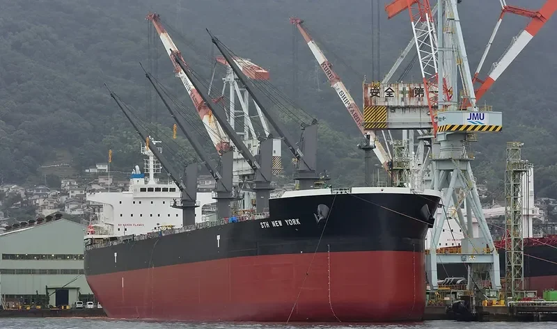 STH NEW YORK Bulk Carrier IMO 9729362 photo 6