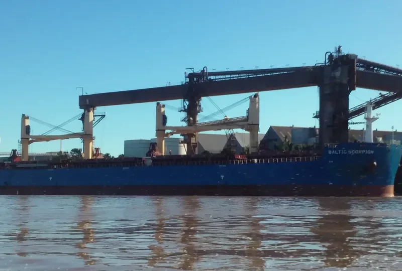 BALTIC SCORPION Bulk Carrier IMO 9729477