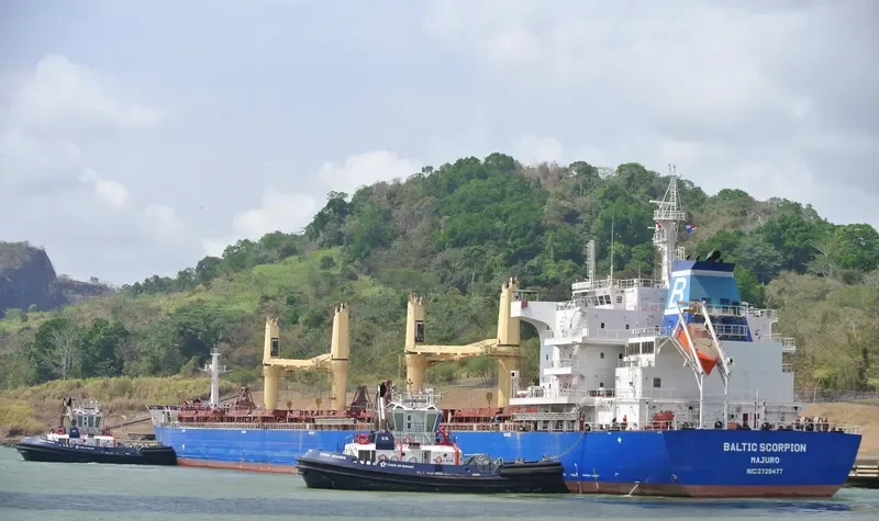 BALTIC SCORPION Bulk Carrier IMO 9729477 photo 4