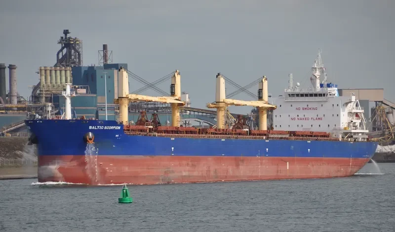 BALTIC SCORPION Bulk Carrier IMO 9729477 photo 6