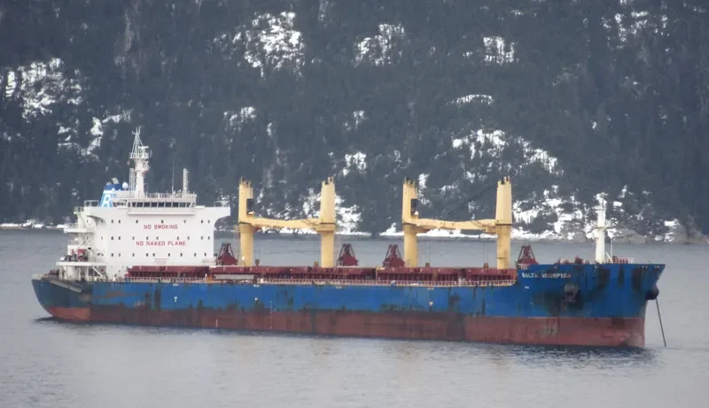 BALTIC SCORPION Bulk Carrier IMO 9729477 photo 10