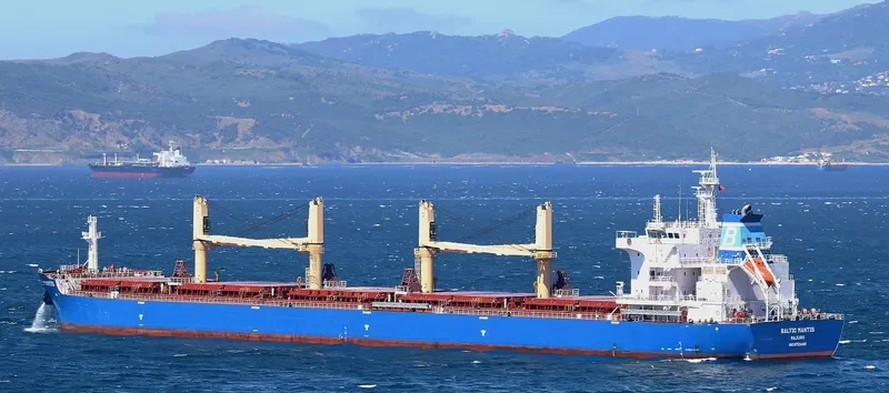BALTIC MANTIS Bulk Carrier IMO 9729489 photo 2
