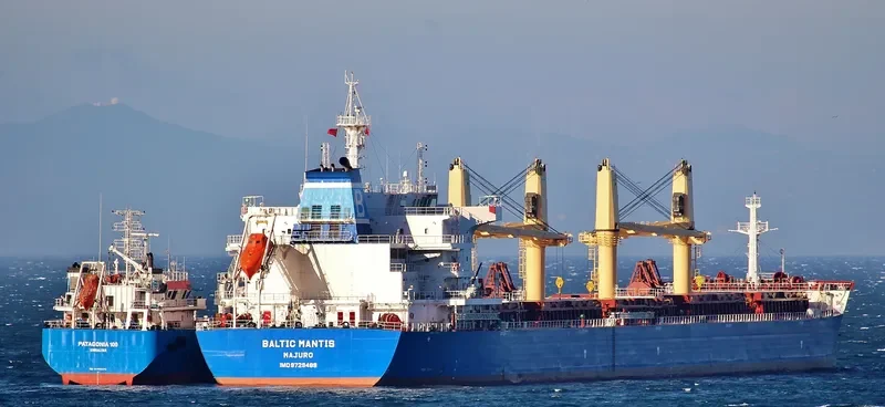 BALTIC MANTIS Bulk Carrier IMO 9729489 photo 3