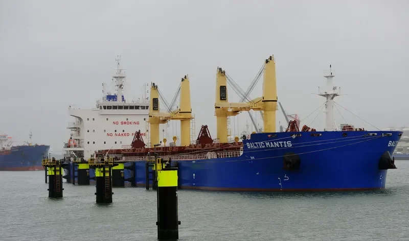 BALTIC MANTIS Bulk Carrier IMO 9729489 photo 7