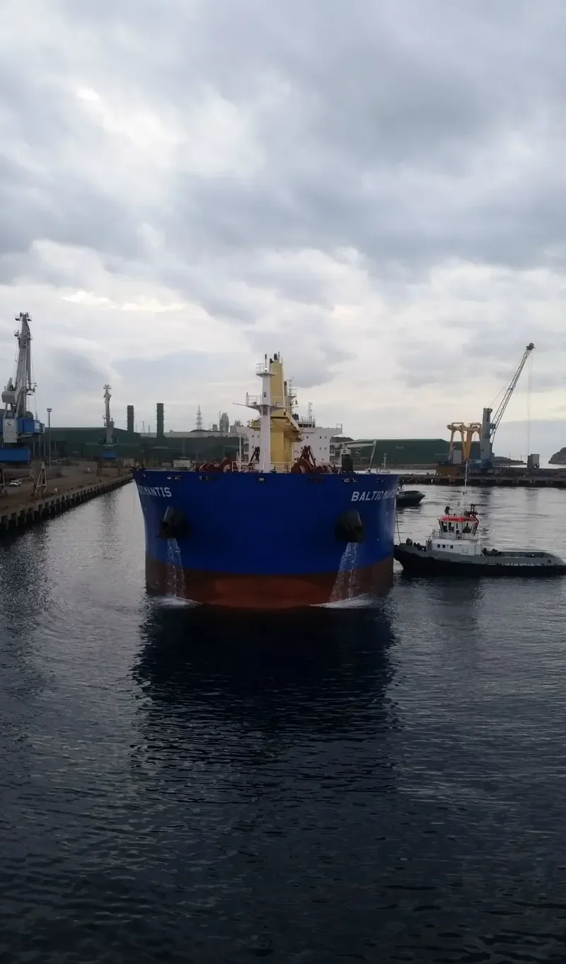 BALTIC MANTIS Bulk Carrier IMO 9729489 photo 8
