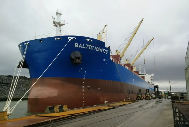 BALTIC MANTIS Bulk Carrier IMO 9729489 photo 10