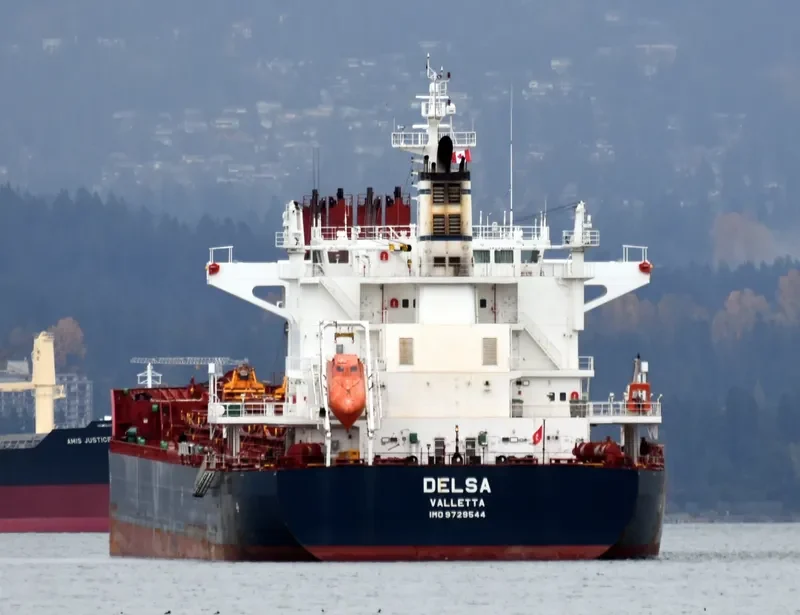 DELSA Bulk Carrier IMO 9729544