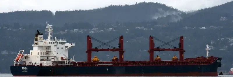 DELSA Bulk Carrier IMO 9729544 photo 2