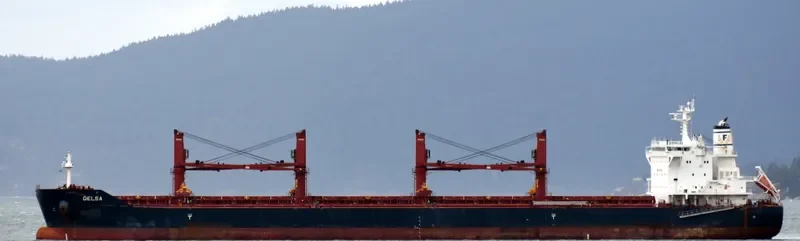 DELSA Bulk Carrier IMO 9729544 photo 3