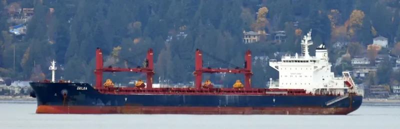DELSA Bulk Carrier IMO 9729544 photo 4
