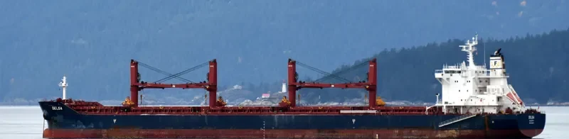 DELSA Bulk Carrier IMO 9729544 photo 5