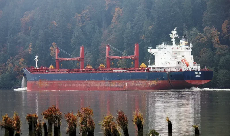 DELSA Bulk Carrier IMO 9729544 photo 6