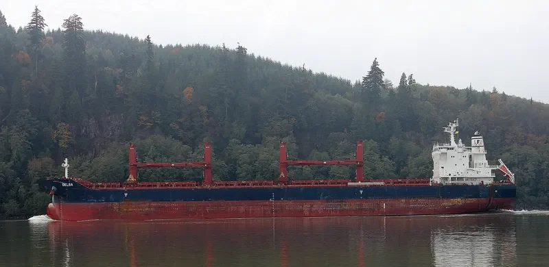 DELSA Bulk Carrier IMO 9729544 photo 7