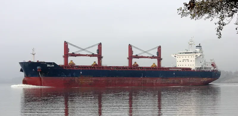 DELSA Bulk Carrier IMO 9729544 photo 8
