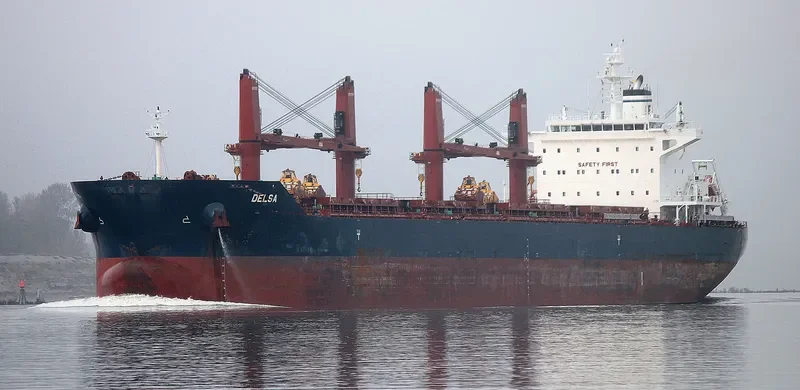DELSA Bulk Carrier IMO 9729544 photo 9