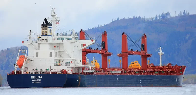 DELSA Bulk Carrier IMO 9729544 photo 10