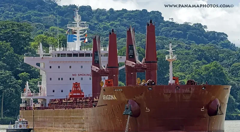 ARAGONA Bulk Carrier IMO 9729556 photo 3