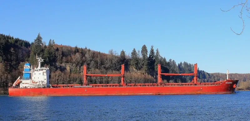 ARAGONA Bulk Carrier IMO 9729556 photo 9