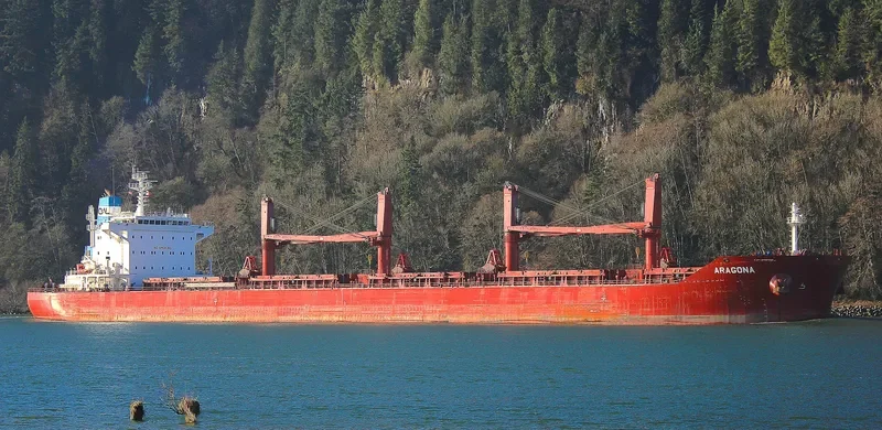 ARAGONA Bulk Carrier IMO 9729556 photo 10