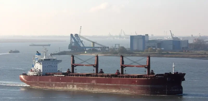 ALBERTA Bulk Carrier IMO 9729568 photo 2