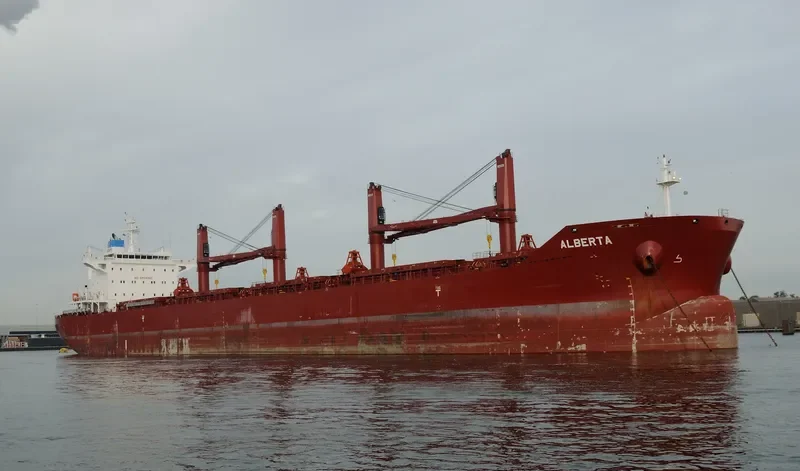 ALBERTA Bulk Carrier IMO 9729568 photo 3