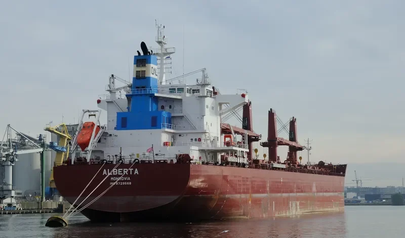 ALBERTA Bulk Carrier IMO 9729568 photo 4
