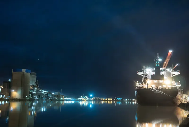 ALBERTA Bulk Carrier IMO 9729568 photo 5