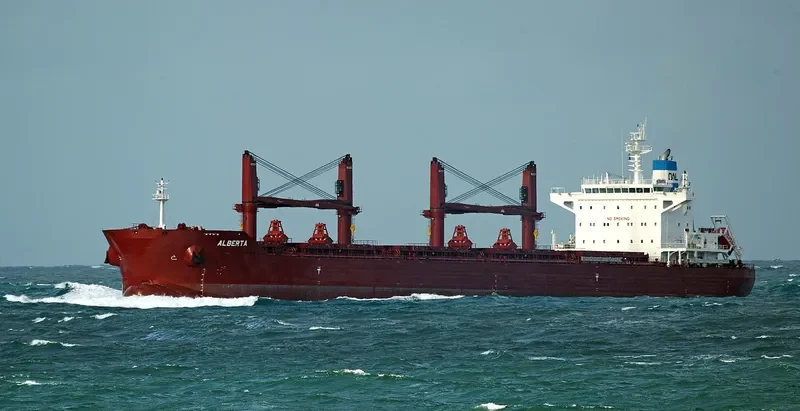 ALBERTA Bulk Carrier IMO 9729568 photo 7