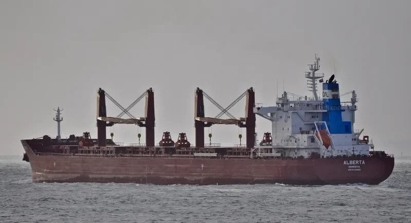 ALBERTA Bulk Carrier IMO 9729568 photo 8