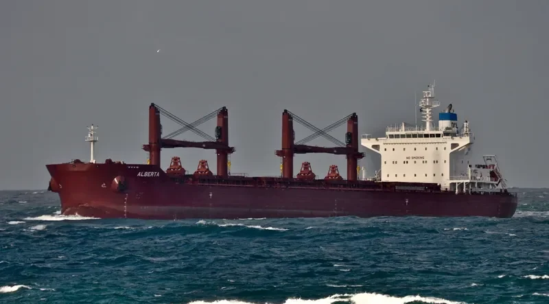 ALBERTA Bulk Carrier IMO 9729568 photo 9