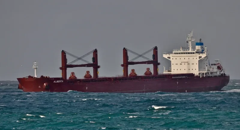 ALBERTA Bulk Carrier IMO 9729568 photo 10