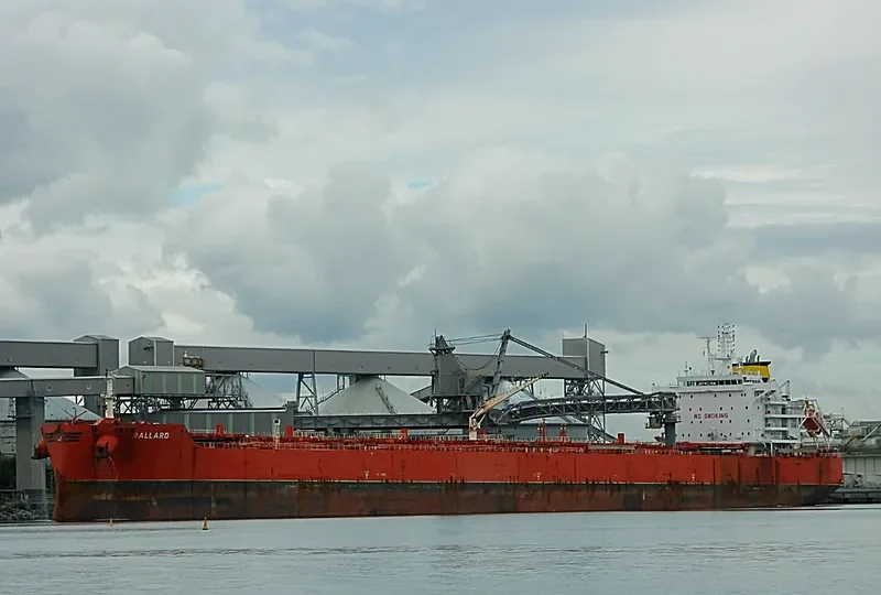 BALLARD Bulk Carrier IMO 9729738 photo 3