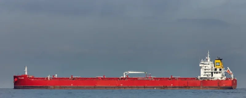 BALLARD Bulk Carrier IMO 9729738 photo 6